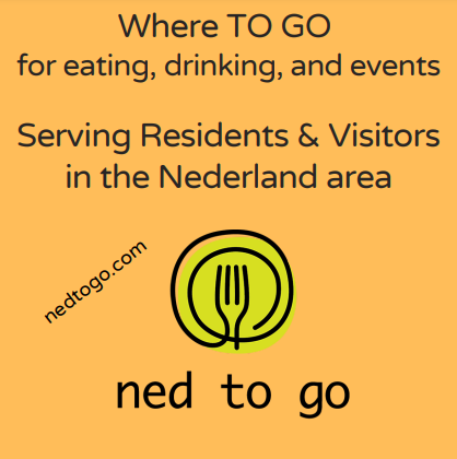 Ned to Go logo